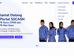 Pengumuman Hasil SKD CPNS Tahap 2 Sudah Bisa Diakses, Klik sscasn.bkn.go.id