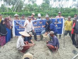 Nasdem Donggala Gencarkan Gerakkan Menanam