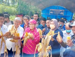 Kasman Lassa Harap Lahan Kosong Dapat Dikelola Agar Berproduksi