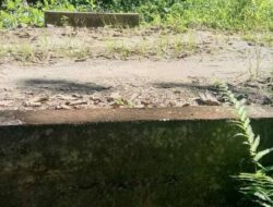 Nama Kades Korowalelo Kabupaten Morut Terseret Dalam Proyek Fiktif