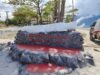Dispar Kota Palu Buat Patung Buaya di Kawasan Kampung Nelayan, Pengingat Warga Untuk Berhati-hati