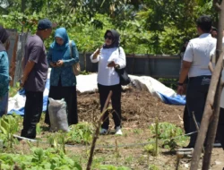 Penilaian Kelurahan Mantap 2 Miliar, Dimulai Dari Kelurahan Kabonena