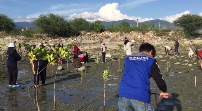 
					Sejumlah Aktivis Lingkungan Gelar Aksi Tanam 1.500 Bibit Mangrove