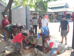 Jajaran Kanwil Kemenkumham Sulteng Sembelih Puluhan Ekor Hewan Qurban Pada Idul Adha 1444 H