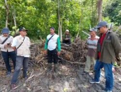 Pengusaha Ditegur, DLH Parimo Perintahkan Hentikan Pembukaan Lahan Tambak Ilegal