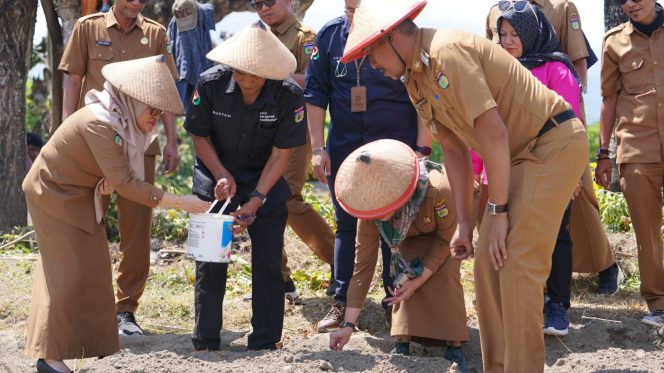 
					Photo : Humas Pemkot Palu