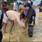 Penanaman Mangorve di Pulau Pangalasiang