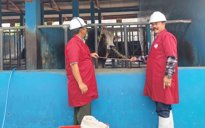 
					Suasana saat Kepala Disnakeswan Donggala, Hari Soetjahyo,  mengunjungi ternak salah satu gapoktan. Photo: ist