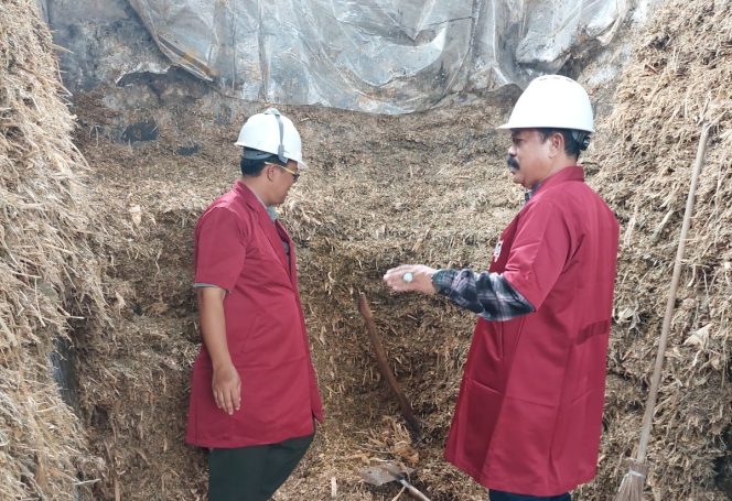 
					Suasana saat Kepala Dinas Peternakan dan Kesehatan Hewan (Disnakeswan), Hari Soetjahyo mengontrol pangan ternak 'jerami' di salah satu gapoktan. Photo: ist