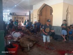 Semarak Kurban di Masjid Danunegaran, 12 Lembu dan 20 Kambing Dibagikan untuk Masyarakat