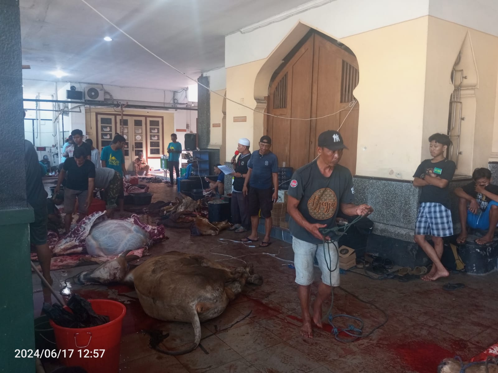 Masjid Danunegaran Yogyakarta menyemarakkan Hari Raya Idul Adha 1445 H dengan menyembelih 12 ekor sapi dan 20 ekor kambing.