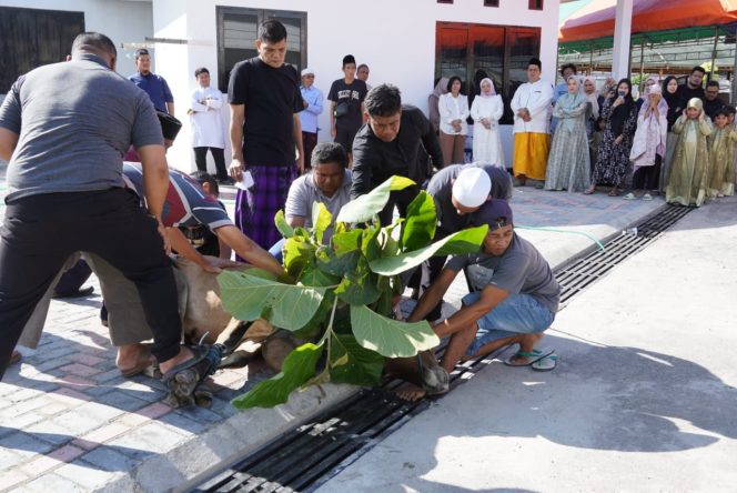 
					Suasana saat penyembelihan hewan kurban di Masjid Al-Amin DPRD Provinsi Sulteng pada Senin (17/06/24), Photo: Humas DPRD Sulteng