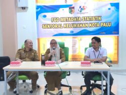 Irmayanti Pettalolo: Kerjasama RT/RW Kunci Akurasi Data Kota Palu