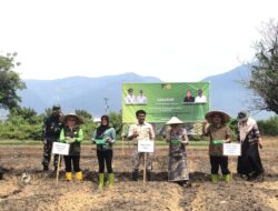Pemkot Palu Sebut Produksi Bawang Merah Dianggap Sebagai Upaya Pengendalian Inflasi.