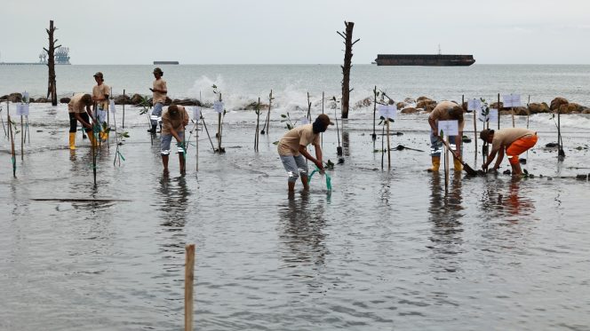 
					Suasana saat penanaman bibit mangrove di pesisir Pantai Umpanga Morowali. Photo: ist