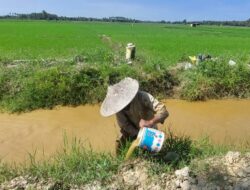 Kelompok Tani Bianio Desa Lobu harap peran Pemdes dalam mendukung dan meningkatkan pertanian di Desa Lobu.