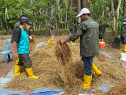 Pemanfaatan Limbah Pertanian, Disnakeswan Donggala Gelar Pelatihan Fermentasi Jerami Padi