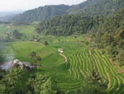 ATR/BPN Dukung Swasembada Pangan Melalui Reforma Agraria, Sinergi GTRA Diperkuat