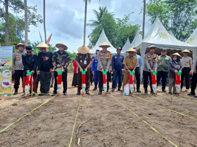 
					Kepolisian Resor (Polres) Parigi Moutong, bersama Pemerintah Daerah (Pemda) Parigi Moutong (Parimo), Sulawesi Tengah, turut serta dalam program penanaman jagung serentak 1 juta hektare di seluruh Indonesia. FOTO: istimewa