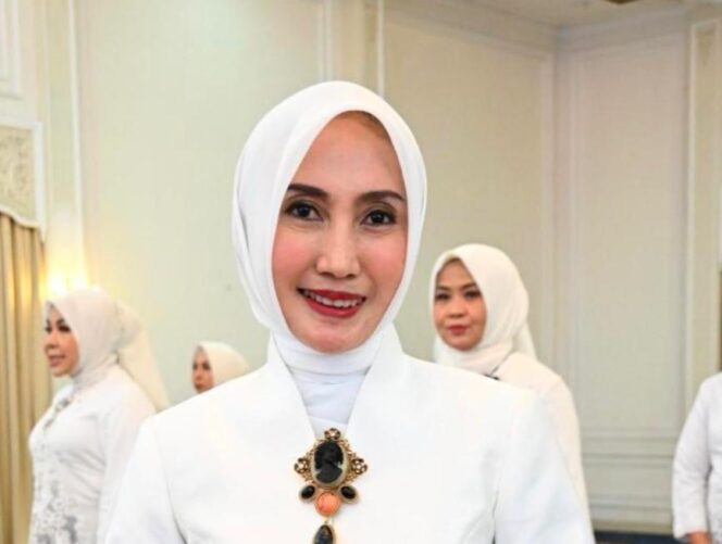 
					Ketua Dewan Kerajinan Nasional Daerah (Dekranasda) Sulawesi Tengah, 