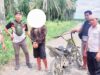 Penjual Sabu Ditangkap di Desa Taviora, Polisi Temukan 23 Paket Siap Edar