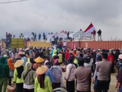 Sawah Bisa Kering, Petani Morowali Geruduk PT BTIIG