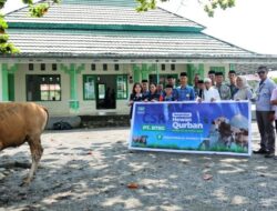 Huabao Indonesia Salurkan 17 Hewan Kurban ke Warga Lingkar Industri Morowali