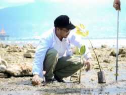 Mangrove Bukan Gaya-Gayaan: Ini Aksi Fathur bersama Rembuk Pemuda Sulteng