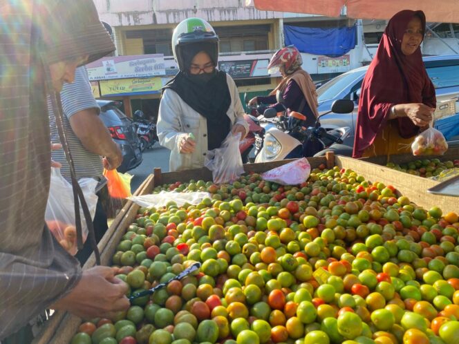 
					Warga tengah memilih tomat di lapak pedagang Pasar Inpres Manonda, Kota Palu, Jumat (04/07/25). FOTO: netiz.id