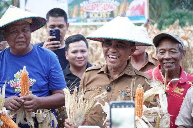 
					Gubernur Sulawesi Tengah, Anwar Hafid (tengah), tersenyum bersama petani saat memanen jagung pada kegiatan Panen Raya Jagung Kelompok Tani Kelapa Gading di Desa Bora, Kecamatan Sigi Kota, Kabupaten Sigi, Senin (11/08/25). FOTO: istimewa