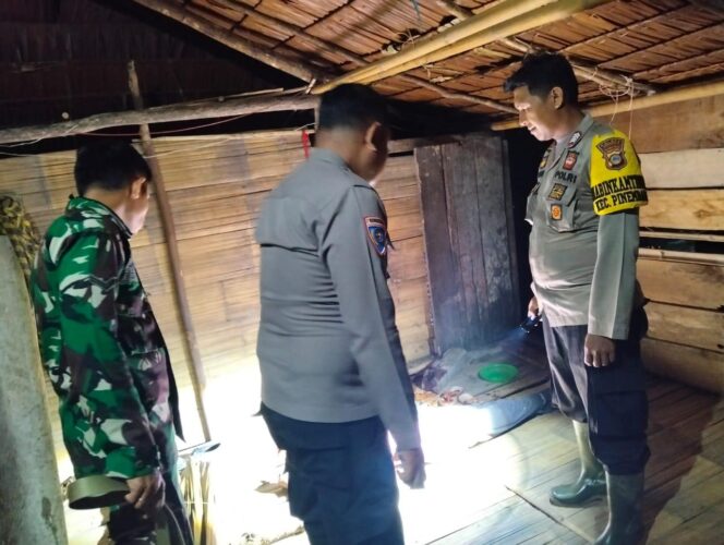 
					Petugas kepolisian bersama aparat TNI saat melakukan olah tempat kejadian perkara (TKP) kasus pembunuhan seorang ibu oleh anak kandungnya di Desa Gimpubia, Kecamatan Pinembani, Kabupaten Donggala, Selasa malam (26/08/25). FOTO: istimewa