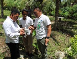 Kejari Donggala Blokir Tanah Koruptor Dee Lubis dekat Destinasi Wisata Pusentase