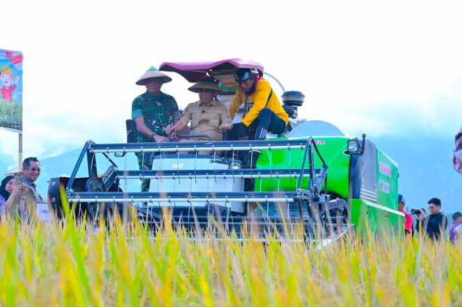 
					Gubernur Sulawesi Tengah, Anwar Hafid, didampingi Pangdam XXIII/Palaka Wira Mayjen TNI Jonathan Binsar Parluhutan Sianipar dan petani setempat, mencoba mesin panen padi saat panen raya perdana di Desa Sibalaya Utara, Kecamatan Tanambulava, Kabupaten Sigi, Kamis (04/09/25). FOTO: istimewa