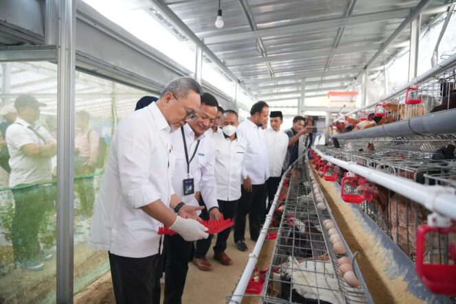 
					Menteri Koordinator Bidang Pangan RI, Zulkifli Hasan, didampingi Direktur Utama PT Permodalan Nasional Madani (PNM) Arief Mulyadi meninjau program ketahanan pangan ayam petelur di Rumah Pangan PNM, Kopeng, Jawa Tengah, Rabu (09/10/25). FOTO: istimewa