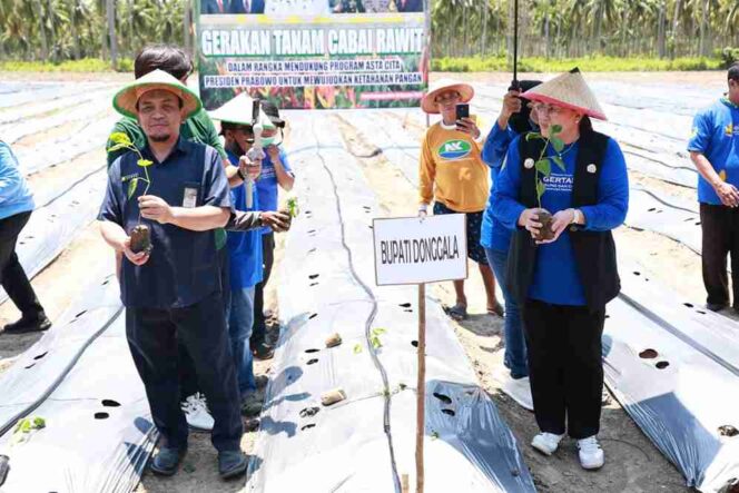 
					Bupati Donggala, Vera Elena Laruni, bersama Wakil Bupati dan sejumlah pejabat perangkat daerah menanam bibit cabai rawit saat peluncuran Gerakan Tanam (Gertam) Jagung dan Cabai di Desa Batusuya Goo, Kecamatan Sindue Tombusabora, Sabtu (18/10/25). FOTO: istimewa