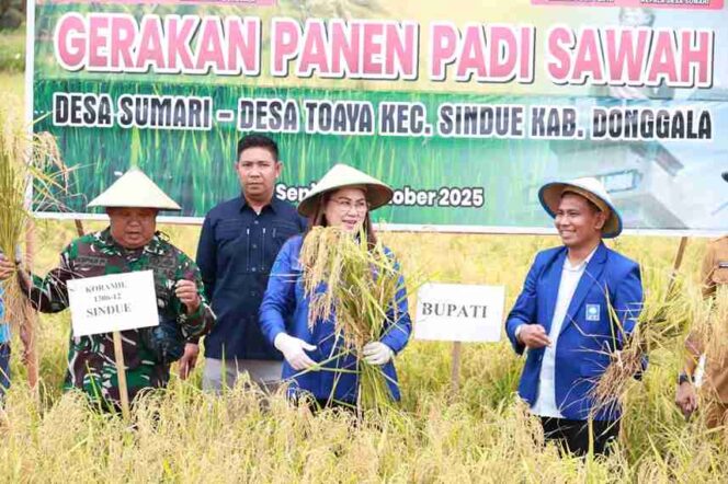 
					Bupati Donggala, Vera Elena Laruni, ikut memotong padi saat menghadiri kegiatan panen padi sawah di Desa Sumari, Kecamatan Sindue, Senin (27/10/25). FOTO: istimewa