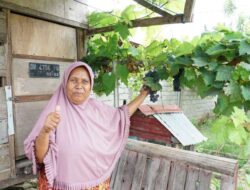 Dari Kampung Terpuruk Menjadi Sentra Anggur: Reforma Agraria Bangkitkan HarapanWarga Duyu Palu