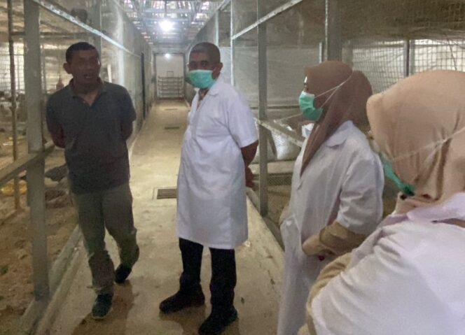 
					Pelaksana Tugas Kepala Dinas Peternakan dan Kesehatan Hewan (DPKH) Kabupaten Donggala, Anhar (kedua kiri), bersama jajaran saat meninjau kandang ayam KUB di Balai Riset dan Manajemen Peternakan (BRMP) Jawa Timur, dalam kegiatan studi tiru pengembangan ayam lokal unggul, Jumat (31/10/25). FOTO: istimewa