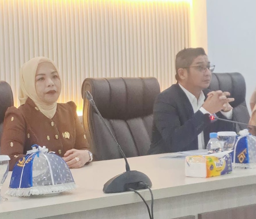 Waket DPRD Sulteng, Arnila M Ali