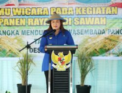 Bupati Vera Elena Laruni Dorong Nilai Tambah Hasil Pertanian Tetap Berada di Donggala