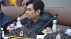 Sultan Amin Badawi