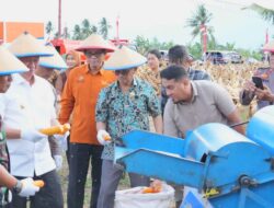 Hadiri Panen Raya Jagung di Sigi, DPRD Sulteng Dukung Penguatan Ketahanan Pangan Nasional