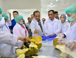 Rumah Produksi Durian PT Pondok Durian Sulawesi Diresmikan, Anwar Hafid Dorong Hilirisasi dan Ekspor Durian Sulteng