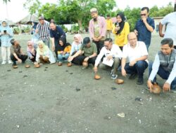 Program SOLUSI Donggala Siapkan Wisata Edukasi Konservasi Penyu, Potensi Dongkrak Ekonomi Warga