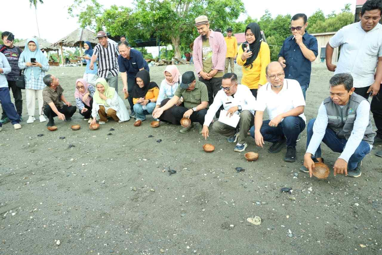 pelepasan tukik