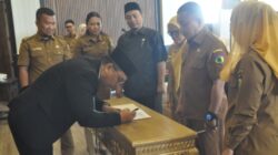 Perumda Palu