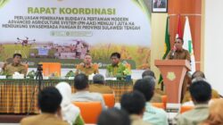 Produktivitas Padi Sulawesi Tengah