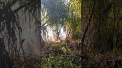 Kebakaran Lahan 3 Hektare Landa Desa Tampanombo Touna Sulawesi Tengah